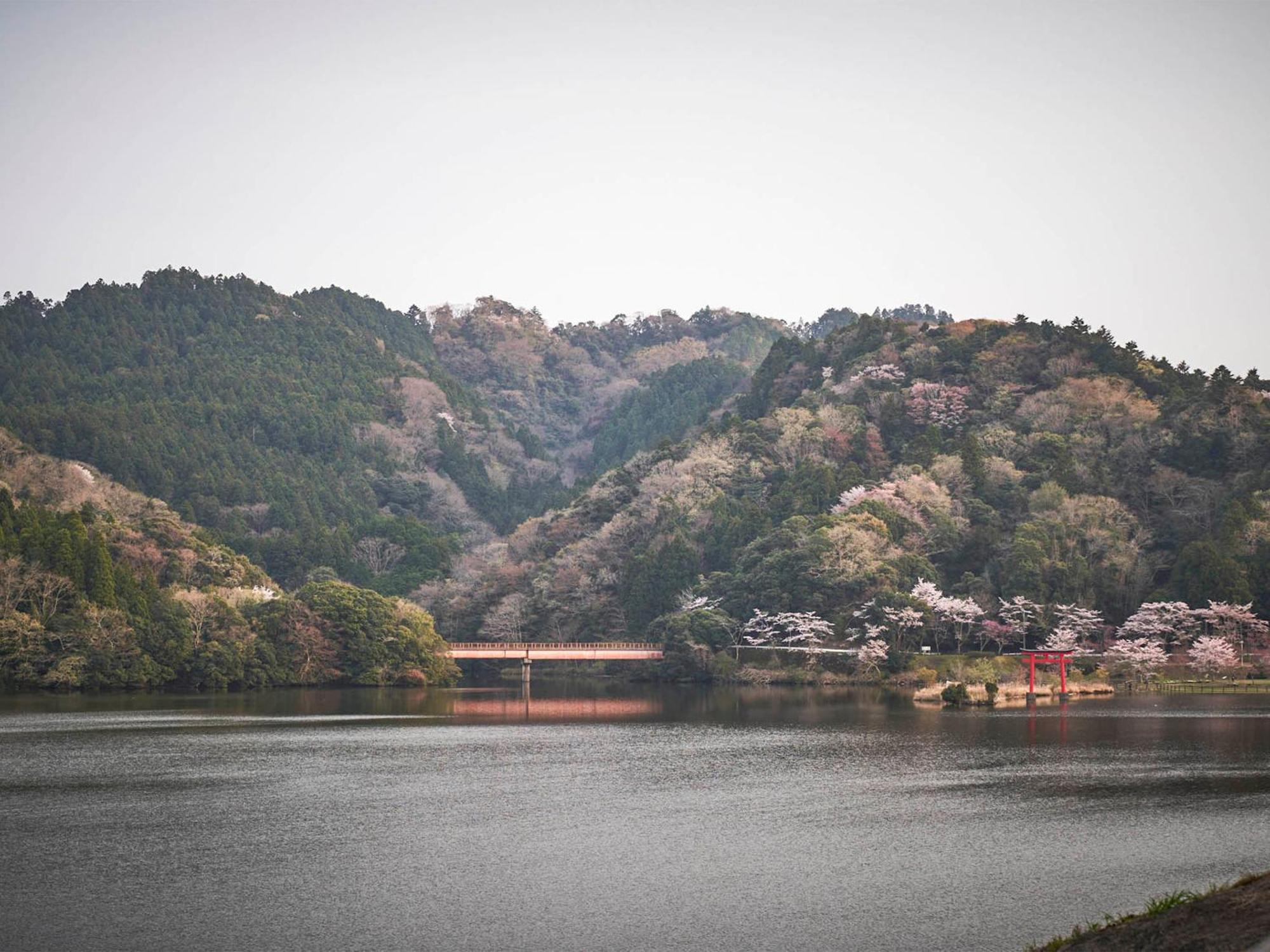 Kameyama Onsen Hotel Кимицу Экстерьер фото